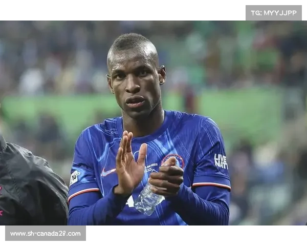 英超转会最新动态