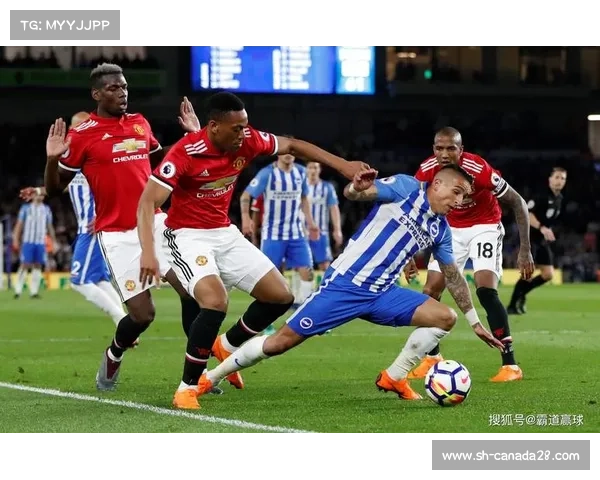 英超黑马，布莱顿的潜力与崛起