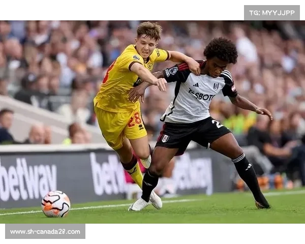 阿森纳球迷的热情与球队的未来