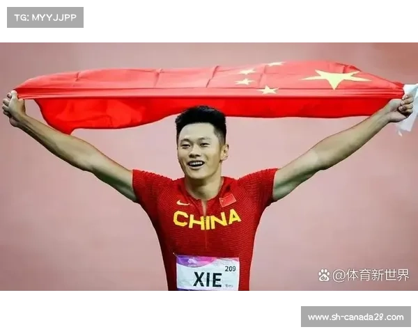 2004年雅典奥运会奖牌榜排名分析：中国表现突出美国居首