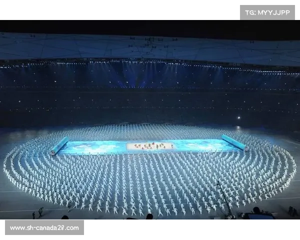 2008年北京奥运会：全球视角下的中国崛起与文化交流盛宴